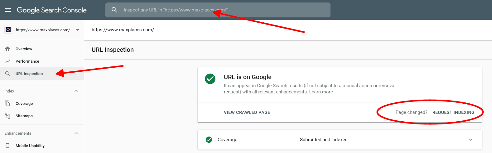 Google URL Inspection Tool